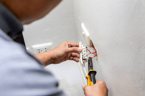 Best Electric Panel Repair  in Babson Park, FL